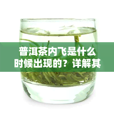 普洱茶内飞是什么时候出现的？详解其含义、图片及与内票的区别