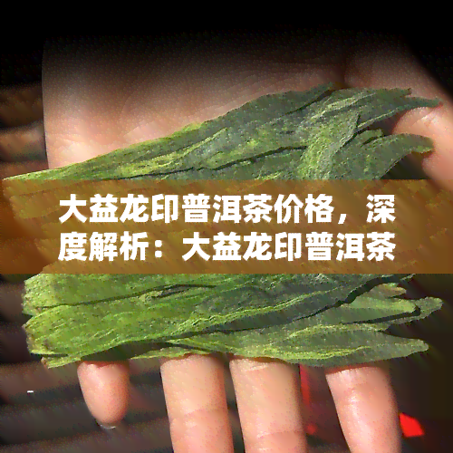 大益龙印普洱茶价格，深度解析：大益龙印普洱茶的市场价格及购买建议