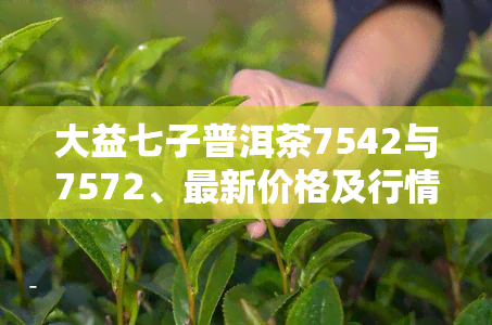 大益七子普洱茶7542与7572、最新价格及行情网解析，数字含义揭秘