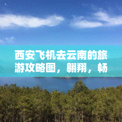 西安飞机去云南的旅游攻略图，翱翔，畅游云南——西安飞往云南的旅游攻略图