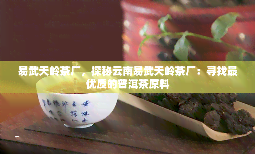 易武天岭茶厂，探秘云南易武天岭茶厂：寻找更优质的普洱茶原料