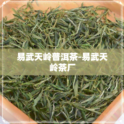 易武天岭普洱茶-易武天岭茶厂