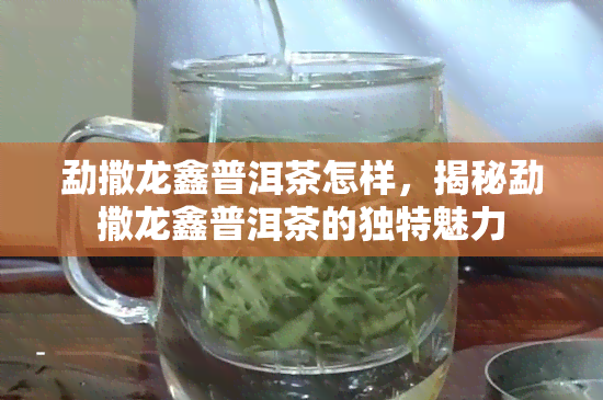 勐撒龙鑫普洱茶怎样，揭秘勐撒龙鑫普洱茶的独特魅力