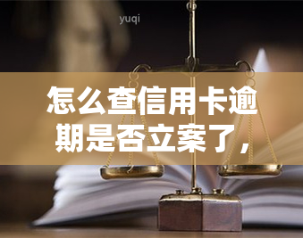 怎么查信用卡逾期是否立案了，如何查询信用卡逾期是否已被立案？