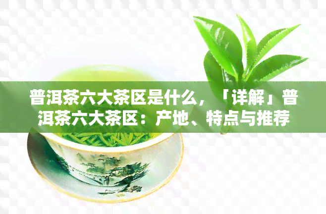 普洱茶六大茶区是什么，「详解」普洱茶六大茶区：产地、特点与推荐