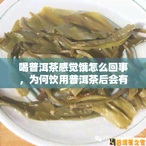 喝普洱茶感觉饿怎么回事，为何饮用普洱茶后会有饥饿感？