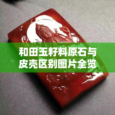 和田玉籽料原石与皮壳区别图片全览：从外观、价格到特点对比解析