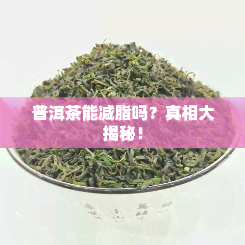 普洱茶能减脂吗？真相大揭秘！