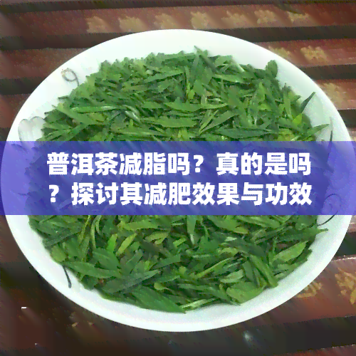 普洱茶减脂吗？真的是吗？探讨其减肥效果与功效