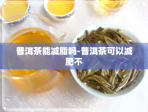 普洱茶能减脂吗-普洱茶可以减肥不