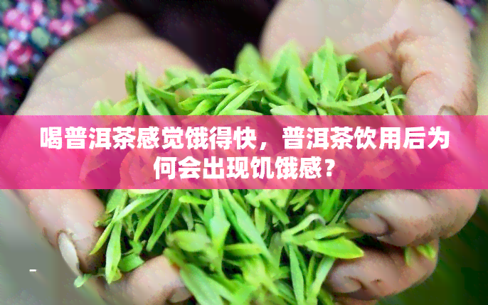 喝普洱茶感觉饿得快，普洱茶饮用后为何会出现饥饿感？