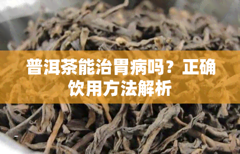 普洱茶能治胃病吗？正确饮用方法解析