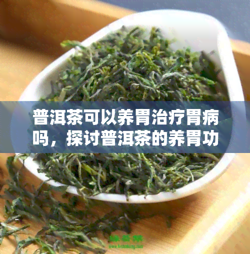 普洱茶可以养胃治疗胃病吗，探讨普洱茶的养胃功效：能否有效治疗胃病？