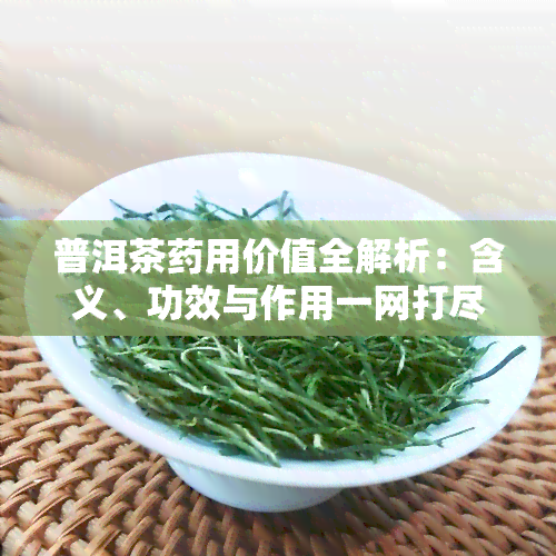 普洱茶药用价值全解析：含义、功效与作用一网打尽