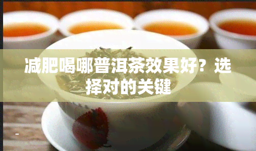 减肥喝哪普洱茶效果好？选择对的关键