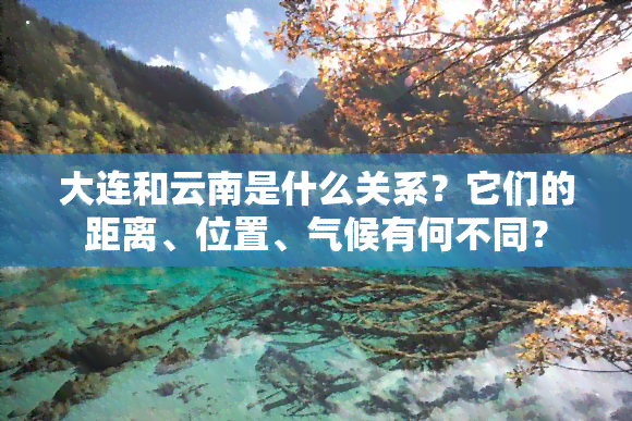 大连和云南是什么关系？它们的距离、位置、气候有何不同？