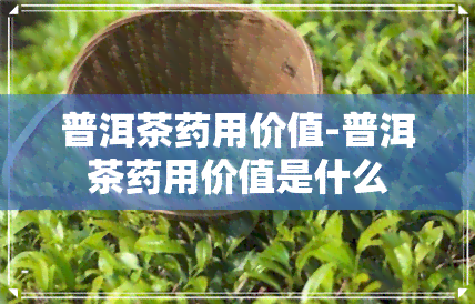 普洱茶药用价值-普洱茶药用价值是什么