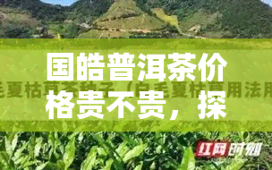 国皓普洱茶价格贵不贵，探究国皓普洱茶的价格：是否真的贵重？