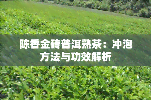 陈香金砖普洱熟茶：冲泡方法与功效解析