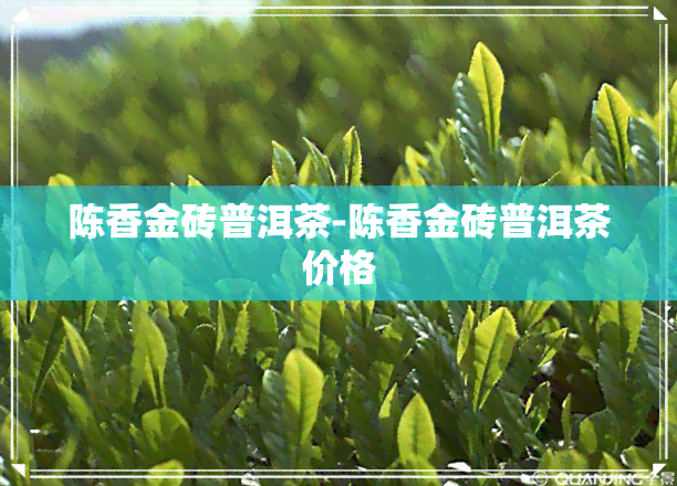 陈香金砖普洱茶-陈香金砖普洱茶价格