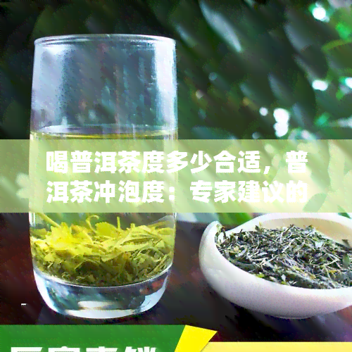 喝普洱茶度多少合适，普洱茶冲泡度：专家建议的饮用度是多少？