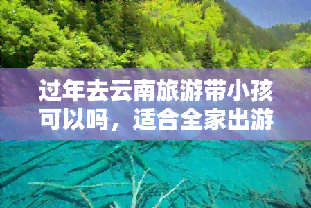 过年去云南旅游带小孩可以吗，适合全家出游的云南春节亲子游攻略