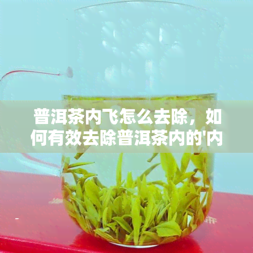 普洱茶内飞怎么去除，如何有效去除普洱茶内的'内飞'