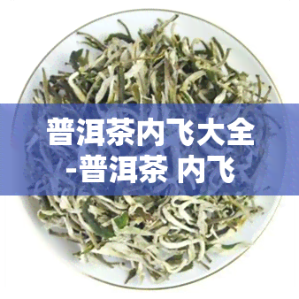 普洱茶内飞大全-普洱茶 内飞