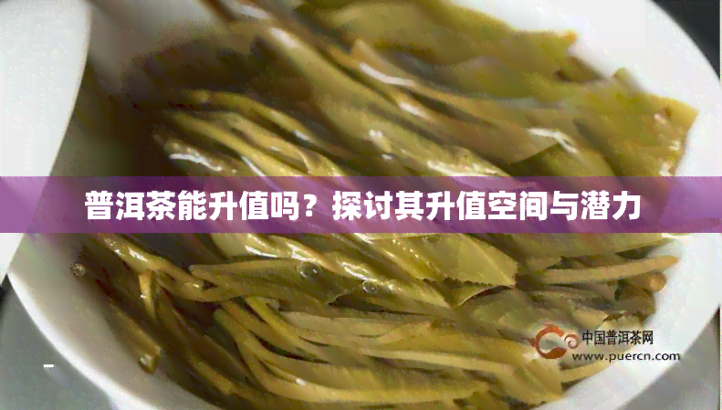 普洱茶能升值吗？探讨其升值空间与潜力