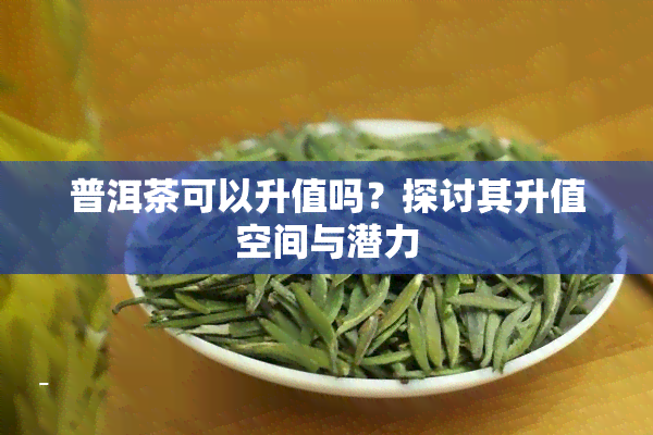 普洱茶可以升值吗？探讨其升值空间与潜力