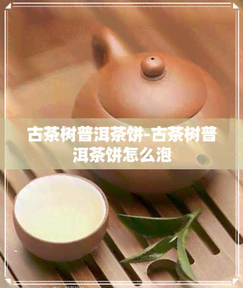 古茶树普洱茶饼-古茶树普洱茶饼怎么泡