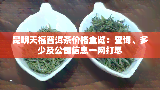 昆明天福普洱茶价格全览：查询、多少及公司信息一网打尽