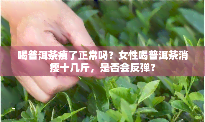 喝普洱茶瘦了正常吗？女性喝普洱茶消瘦十几斤，是否会反弹？