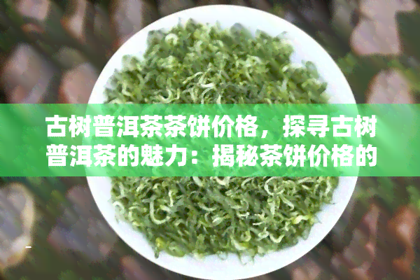 古树普洱茶茶饼价格，探寻古树普洱茶的魅力：揭秘茶饼价格的背后故事