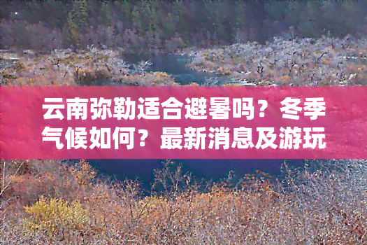 云南弥勒适合避暑吗？冬季气候如何？最新消息及游玩攻略