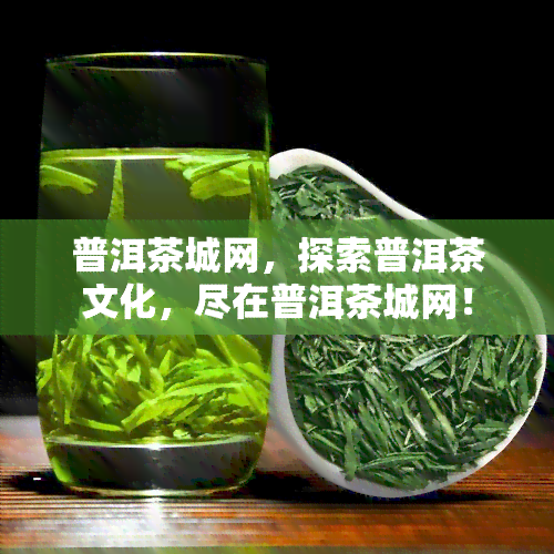 普洱茶城网，探索普洱茶文化，尽在普洱茶城网！