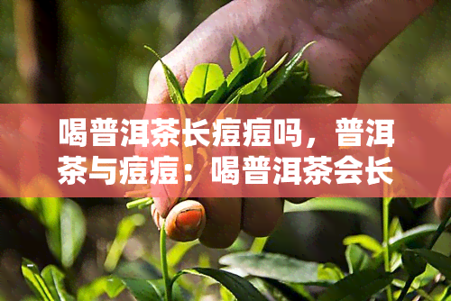 喝普洱茶长痘痘吗，普洱茶与痘痘：喝普洱茶会长痘吗？