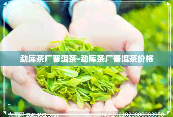 勐库茶厂普洱茶-勐库茶厂普洱茶价格