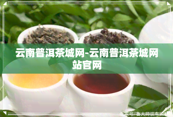 云南普洱茶城网-云南普洱茶城网站官网