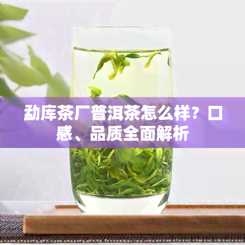 勐库茶厂普洱茶怎么样？口感、品质全面解析