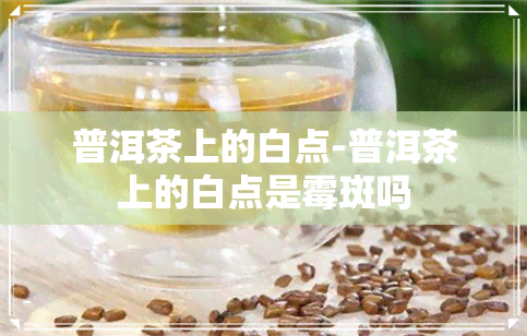 普洱茶上的白点-普洱茶上的白点是霉斑吗