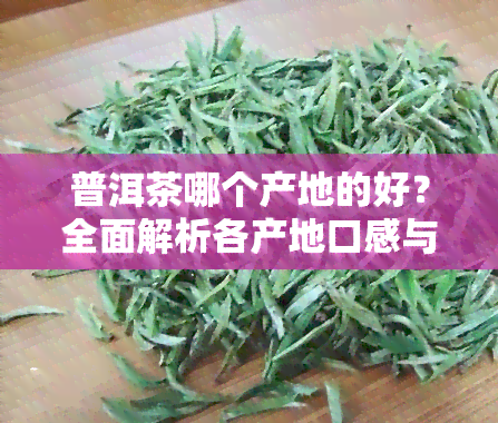 普洱茶哪个产地的好？全面解析各产地口感与特点