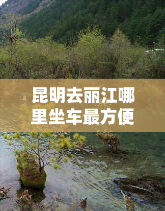 昆明去丽江哪里坐车最方便、更便宜？高铁or汽车？详细路线解析！