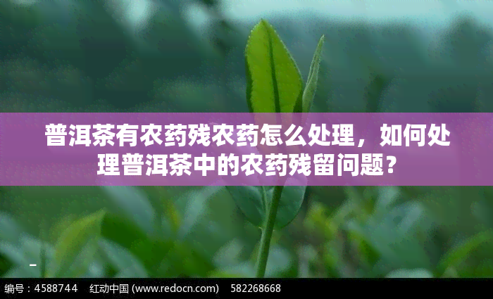 普洱茶有农药残农药怎么处理，如何处理普洱茶中的农药残留问题？