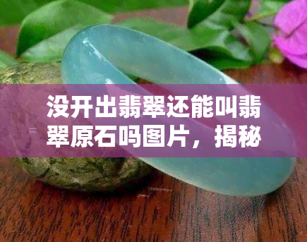 没开出翡翠还能叫翡翠原石吗图片，揭秘翡翠原石：未切割的翡翠也能被称为翡翠原石？看图解惑！