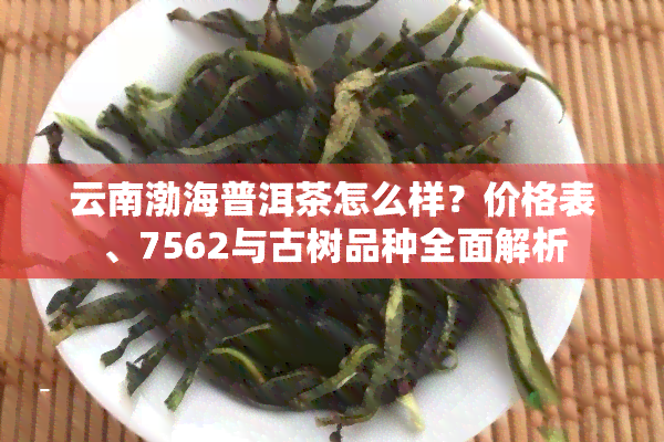 云南渤海普洱茶怎么样？价格表、7562与古树品种全面解析