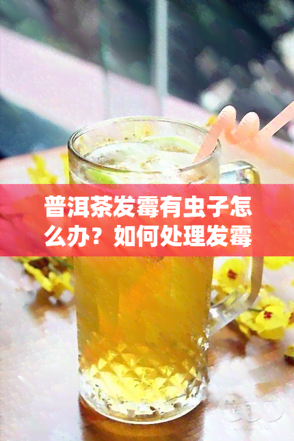 普洱茶发霉有虫子怎么办？如何处理发霉、长虫的普洱茶？