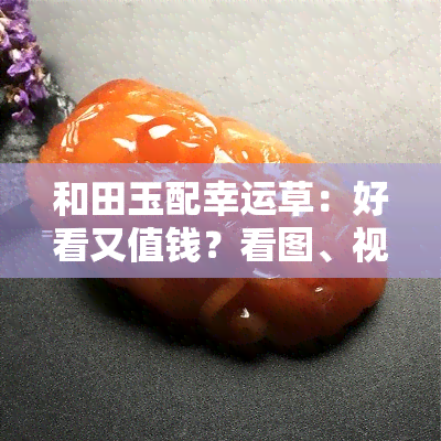 和田玉配幸运草：好看又值钱？看图、视频揭晓！