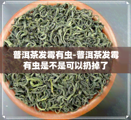 普洱茶发霉有虫-普洱茶发霉有虫是不是可以扔掉了