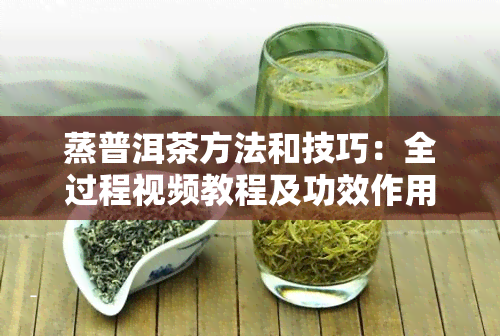 蒸普洱茶方法和技巧：全过程视频教程及功效作用解析